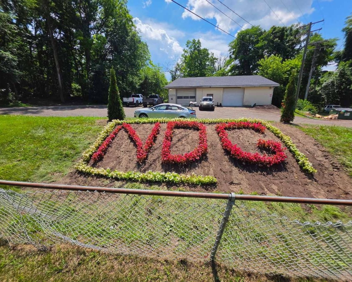 NDG flower bed at the shop