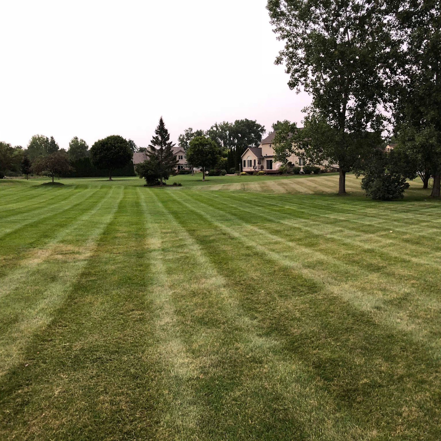 Lawn and landscape work by NDG LawnScaping